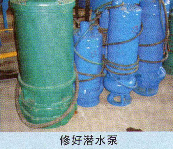 新闻名称：修好潜水泵
添加日期：2010-11-25 17:02:43
浏览次数：2576
